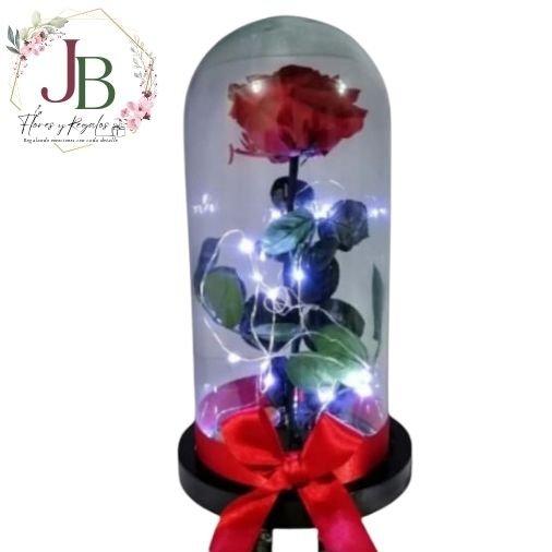 RAMOSYFLORES.JBFLORESYREGALOS (16) ROSA PRESERVADA EN CÚPULA Y LUCES