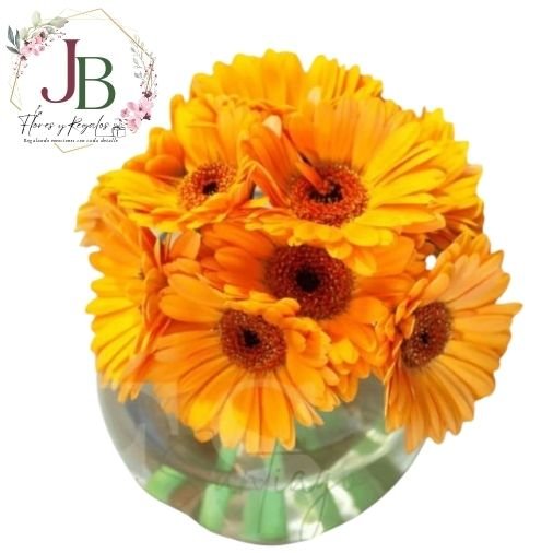 RAMOSYFLORES.JBFLORESYREGALOS (20) PECERA CON 10 GERBERAS