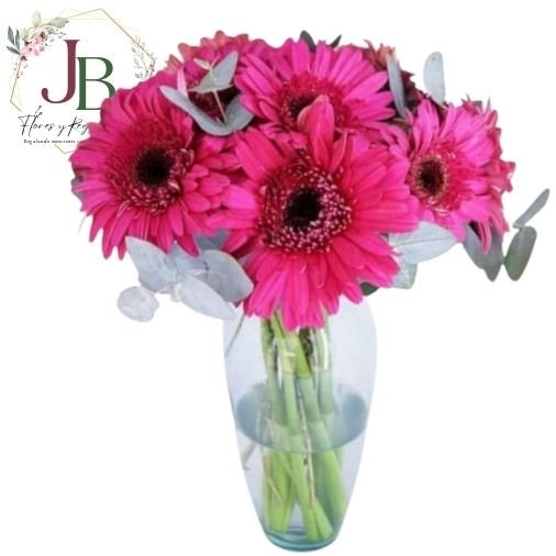 RAMOSYFLORES.JBFLORESYREGALOS (21) FLORERO DE 10 GERBERAS"