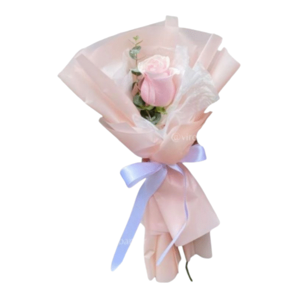 Screenshot_20251105-152052.Chrome HERMOSA ROSA AREGLADA